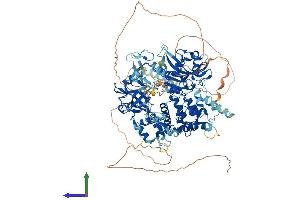 Protein Structure (PS) image for Ligase III, DNA, ATP-Dependent (LIG3) (AA 1-1015) protein (His tag) (ABIN7563546)