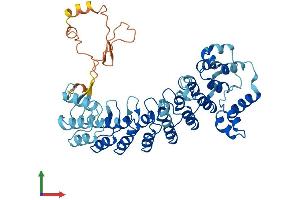 AlphaFold protein structure predicition of Human Recombinant ASB18 Protein, UniprotID Q6ZVZ8