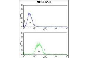 SNRPD2 Antibody (N-term) (ABIN390823 and ABIN2841054) flow cytometry analysis of NCI- cells (bottom histogram) compared to a negative control cell (top histogram). (SNRPD2 antibody  (N-Term))