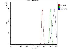 Flow Cytometry analysis of U251 cells using anti-Septin 2/SEPTIN2 antibody (ABIN7599275).