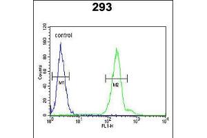 Flow cytometric analysis of 293 cells (right histogram) compared to a negative control cell (left histogram). (CRELD2 antibody  (C-Term))