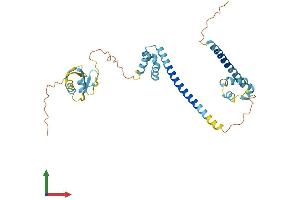 AlphaFold protein structure predicition of Mouse Recombinant Dffa Protein, UniprotID O54786 (DFFA Protein (AA 1-331) (His tag))