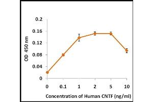 Activity Assay (AcA) image for Ciliary Neurotrophic Factor (CNTF) (Active) protein (ABIN5509411) (CNTF Protein)