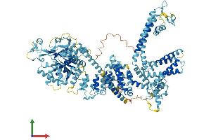 Protein Structure (PS) image for Transient Receptor Potential Cation Channel, Subfamily M, Member 8 (TRPM8) (AA 1-1104) protein (His tag) (ABIN7555844)