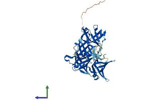 AlphaFold protein structure predicition of Mouse Recombinant Ifi202 Protein, UniprotID Q9R002