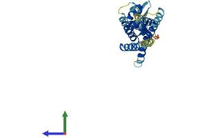 AlphaFold protein structure predicition of Mouse Recombinant Arv1 Protein, UniprotID Q9D0U9 (ARV1 Protein (AA 1-266) (His tag))