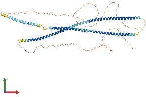 AlphaFold protein structure predicition of Mouse Recombinant Krt76 Protein, UniprotID Q3UV17 (Cytokeratin 2 Protein (AA 1-594) (His tag))