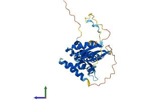 AlphaFold protein structure predicition of Human Recombinant ARMC1 Protein, UniprotID Q9NVT9