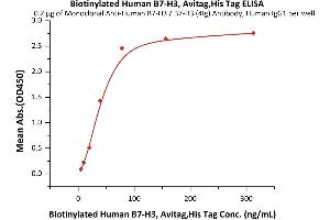 ELISA image for CD276 (CD276) (AA 29-245) protein (His tag,AVI tag,Biotin) (ABIN5674582)