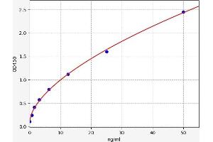 Typical standard curve (STK39 ELISA Kit)