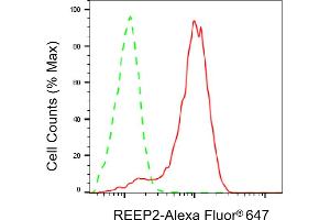 Flow cytometric analysis of REEP2 expression in HAP-1 cells using REEP2 antibody (ABIN7800154), 1:2,000). (Recombinant REEP2 antibody)