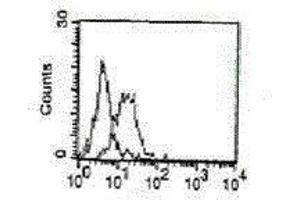 MICB antibody