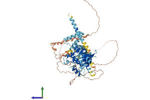 AlphaFold protein structure predicition of Mouse Recombinant Eif2ak1 Protein, UniprotID Q9Z2R9
