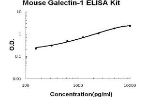 Mouse Galectin-1 PicoKine ELISA Kit standard curve (LGALS1/Galectin 1 ELISA Kit)
