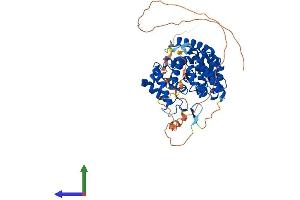 AlphaFold protein structure predicition of Mouse Recombinant Tbc1d10a Protein, UniprotID P58802