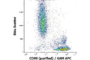 Flow cytometry surface staining pattern of human peripheral blood stained using anti-human CD99 (3B2/TA8) purified antibody (concentration in sample 2 μg/mL) GAM APC. (CD99 antibody)