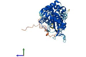 AlphaFold protein structure predicition of Human Recombinant HARBI1 Protein, UniprotID Q96MB7