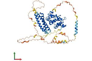 Protein Structure (PS) image for Target of Myb1-Like 2 (TOM1L2) (AA 1-507) protein (His tag) (ABIN7544522)