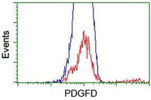 HEK293T cells transfected with either RC219641 overexpress plasmid (Red) or empty vector control plasmid (Blue) were immunostained by anti-PDGFD antibody (ABIN2455136), and then analyzed by flow cytometry. (PDGFD antibody  (AA 19-247))