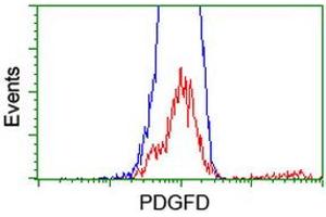HEK293T cells transfected with either RC219641 overexpress plasmid (Red) or empty vector control plasmid (Blue) were immunostained by anti-PDGFD antibody (ABIN2455136), and then analyzed by flow cytometry.