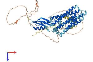 AlphaFold protein structure predicition of Human Recombinant SLC30A6 Protein, UniprotID Q6NXT4 (SLC30A6 Protein (AA 1-461) (His tag))