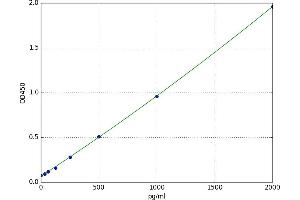 Fibulin 5 (FBLN5) ELISA Kit