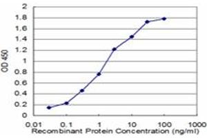 Detection limit for recombinant GST tagged FMR1 is approximately 0. (FMR1 antibody  (AA 121-220))
