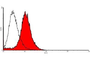 FACS analysis of TIE-2 expression in primary mouse endothelial cells (SnoMec). (TEK antibody  (AA 23-737))