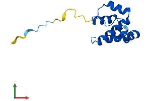 AlphaFold protein structure predicition of Human Recombinant PLAC8 Protein, UniprotID Q9NZF1