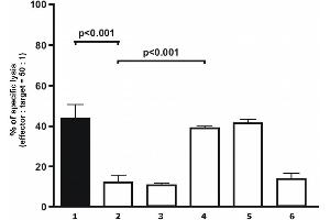 Analysis of cytolytical activity Analysis of cytolytical activity of human polyclonal NK cells on target melanoma cells. (HLAG antibody)