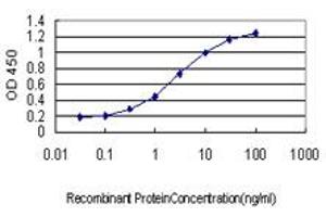 Detection limit for recombinant GST tagged LMO3 is approximately 0. (LMO3 antibody  (AA 91-146))