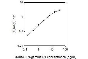 ELISA image for Interferon gamma Receptor 1 (IFNGR1) ELISA Kit (ABIN4885547) (IFNGR1 ELISA Kit)