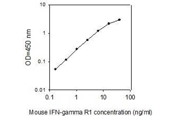 IFNGR1 ELISA Kit