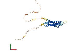 AlphaFold protein structure predicition of Human Recombinant MS4A8 Protein, UniprotID Q9BY19