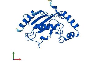Protein Structure (PS) image for Ubiquitin-Conjugating Enzyme E2L 3 (UBE2L3) (AA 1-154) protein (His tag) (ABIN7544981)