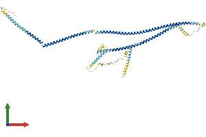 AlphaFold protein structure predicition of Mouse Recombinant Ccdc63 Protein, UniprotID Q8CDV6 (CCDC63 Protein (AA 1-558) (His tag))