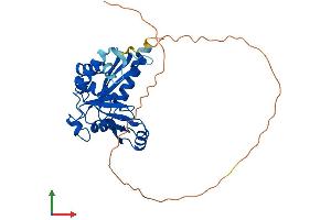 AlphaFold protein structure predicition of Mouse Recombinant Endov Protein, UniprotID Q8C9A2 (Endonuclease V Protein (ENDOV) (AA 1-338) (His tag))