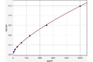 ECE1 ELISA Kit