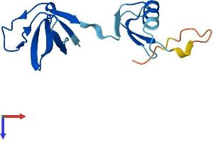 AlphaFold protein structure predicition of Human Recombinant GRAPL Protein, UniprotID Q8TC17 (GRAPL Protein (AA 1-118) (His tag))
