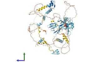 AlphaFold protein structure predicition of Mouse Recombinant Rbm5 Protein, UniprotID Q91YE7 (RBM5 Protein (AA 1-815) (His tag))