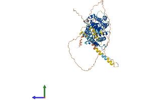 AlphaFold protein structure predicition of Mouse Recombinant Tmco4 Protein, UniprotID Q91WU4 (TMCO4 Protein (AA 1-631) (His tag))