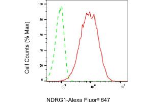Flow cytometric analysis of NDRG1 expression in HT- cells using NDRG1 antibody (ABIN7799536), 1:2,000). (Recombinant NDRG1 antibody)