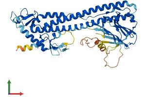 Protein Structure (PS) image for Tripartite Motif Containing 49C (TRIM49C) (AA 1-452) protein (His tag) (ABIN7544672)