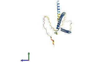 AlphaFold protein structure predicition of Human Recombinant MXD4 Protein, UniprotID Q14582 (MXD4 Protein (AA 1-209) (His tag))