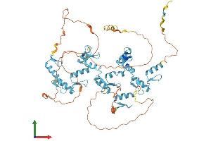 AlphaFold protein structure predicition of Human Recombinant ZNF467 Protein, UniprotID Q7Z7K2