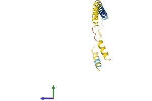 AlphaFold protein structure predicition of Human Recombinant DEXI Protein, UniprotID O95424