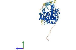 AlphaFold protein structure predicition of Human Recombinant ST3GAL5 Protein, UniprotID Q9UNP4 (ST3GAL5 Protein (AA 1-418) (His tag))