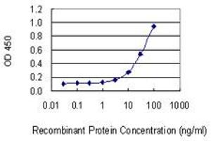Detection limit for recombinant GST tagged POU2F1 is 1 ng/ml as a capture antibody. (POU2F1 antibody  (AA 1-743))