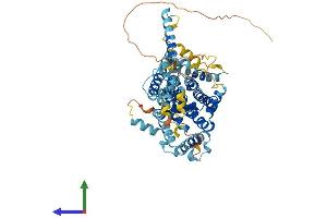 AlphaFold protein structure predicition of Human Recombinant SLC34A3 Protein, UniprotID Q8N130