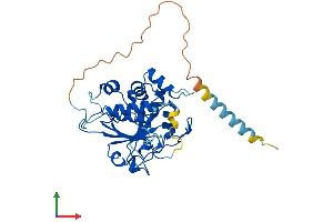 AlphaFold protein structure predicition of Human Recombinant ST3GAL2 Protein, UniprotID Q16842 (ST3GAL2 Protein (AA 1-350) (His tag))